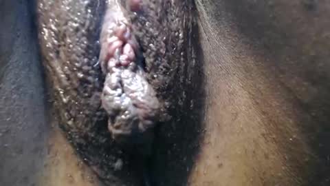 Anny online show from 09-17-25, 08:49