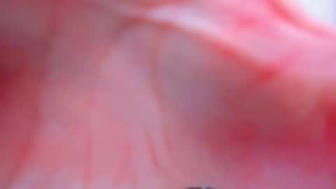 Snapshot of antheaprime chatting on 02-02-26, 03:55 Anthea online show from 02-02-26, 03:55