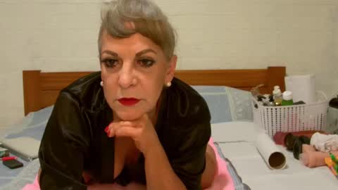 ANY CAT online show from 12-24-24, 08:55