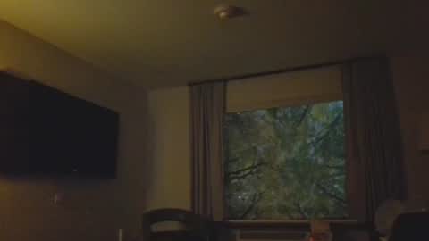 Daddy online show from 11-08-25, 04:56