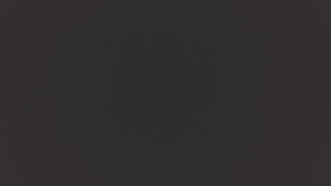 hairycub online show from 12-04-24, 12:47