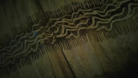 olo online show from 11-24-25, 04:34