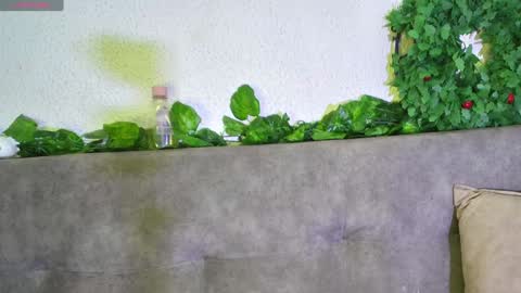 Snapshot of ari_kat666 chatting on 12-11-24, 06:04 ari online show from 12-11-24, 06:04