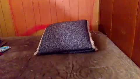 Snapshot of ariellejade06 chatting on 02-19-26, 06:26 ariellejade06 online show from 02-19-26, 06:26