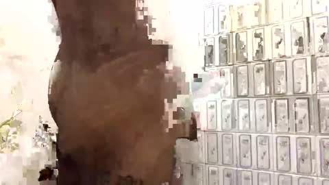 aron_7 online show from 02-02-25, 07:35