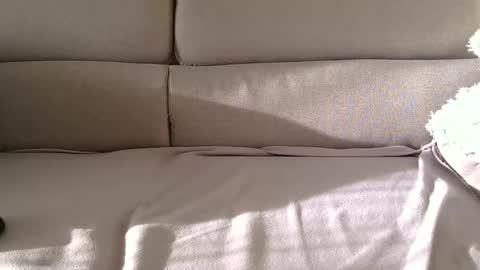 Snapshot of arpinopeer3055 chatting on 11-05-25, 08:14 arpinopeer3055 online show from 11-05-25, 08:14