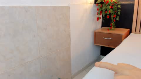 Ana online show from 12-29-24, 08:04