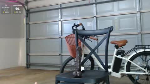 Anne online show from 12-15-25, 03:55