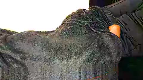 Assiology online show from 03-12-25, 08:41