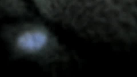 Atilana Diaz online show from 12-30-24, 08:36