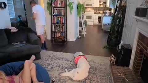 Snapshot of auroraandorion chatting on 11-03-25, 10:10 Aurora and Orion online show from 11-03-25, 10:10