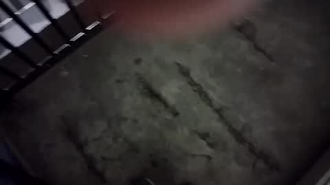 Snapshot of ausername1234517600 chatting on 01-01-25, 05:43 Lex online show from 01-01-25, 05:43