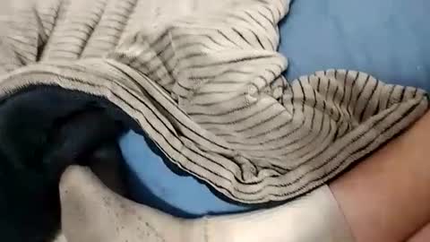 Snapshot of ausername1234517600 chatting on 10-14-25, 04:24 Lex online show from 10-14-25, 04:24