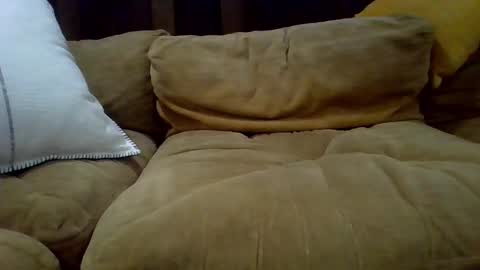 Snapshot of averagecock696969 chatting on 02-23-25, 06:17 averagecock696969 online show from 02-23-25, 06:17