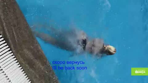 avr0ria online show from 01-15-26, 05:34