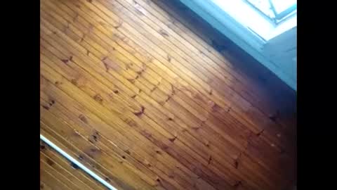 Snapshot of baby__p chatting on 02-26-26, 09:30 Baby P online show from 02-26-26, 09:30