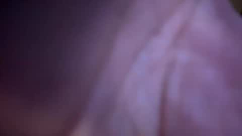 Snapshot of baby_buddha chatting on 01-29-25, 01:28 baby buddha online show from 01-29-25, 01:28