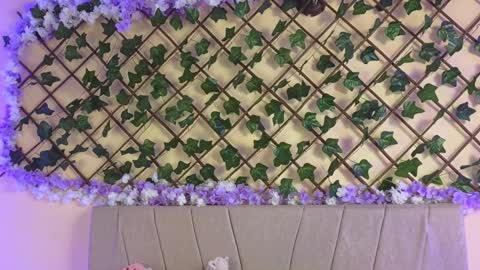  Dani  online show from 12-19-24, 02:45