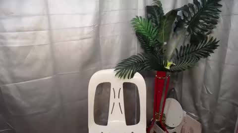 Nexie online show from 10-09-25, 02:53