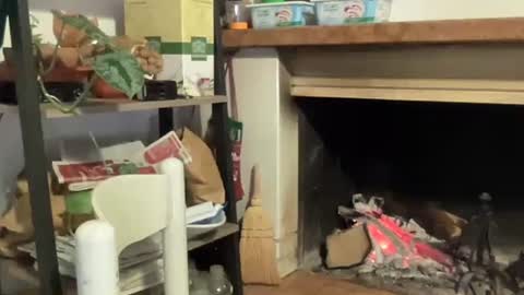 Snapshot of bach77 chatting on 12-12-24, 06:53 bach online show from 12-12-24, 06:53