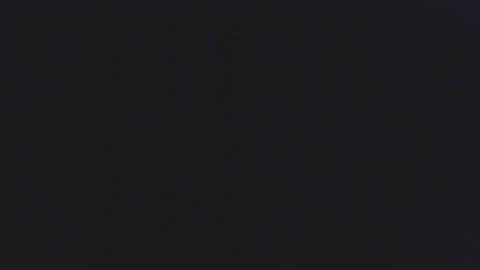 backchat14 online show from 11-01-25, 05:48