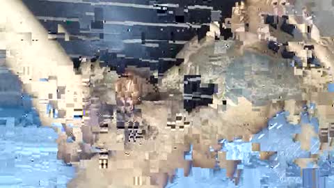 rastafaria online show from 02-03-26, 06:40