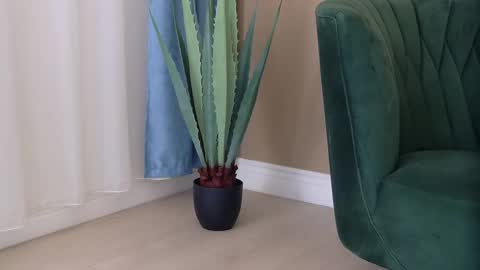 Snapshot of bailey_rush chatting on 12-03-25, 04:49 bailey_rush online show from 12-03-25, 04:49