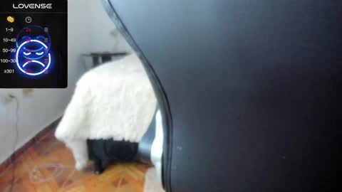 Snapshot of baileyadamss chatting on 02-17-25, 05:47 IM BAILEY online show from 02-17-25, 05:47