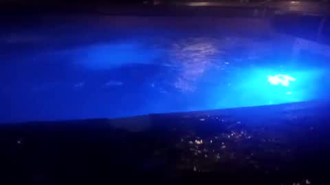 bakerbeachismygig online show from 12-09-24, 04:45