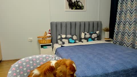 Kira online show from 01-10-25, 04:41