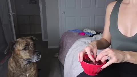 bambifarrina online show from 01-18-26, 05:11