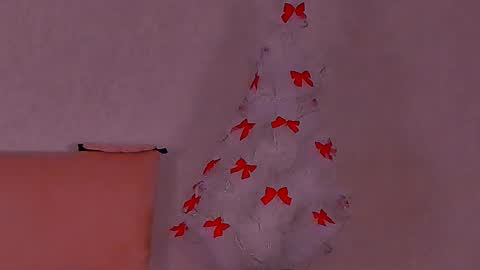 Snapshot of barbara_bb chatting on 01-13-25, 01:45 Barbie Kim online show from 01-13-25, 01:45