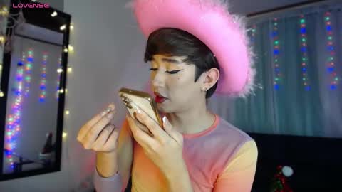          I work from home this is my room 3 online show from 12-17-24, 09:17