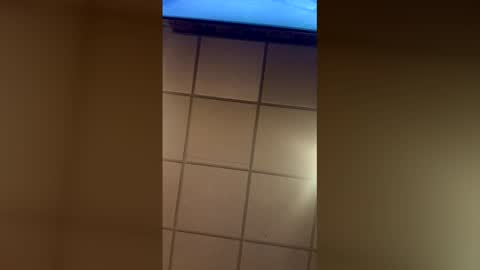 Snapshot of barbiegutzfan3 chatting on 02-28-26, 02:12 Tsbaby301 online show from 02-28-26, 02:12