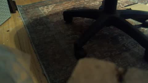 bartender3127 online show from 01-16-25, 04:18