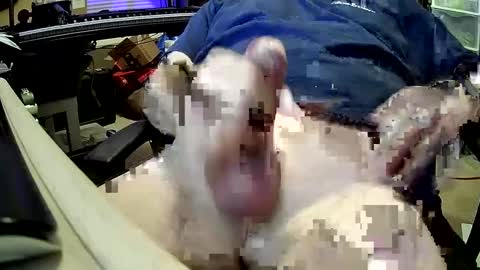 Snapshot of bb5199bb chatting on 12-27-24, 01:00 bb5199bb online show from 12-27-24, 01:00