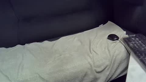 bbc_highness online show from 02-21-25, 09:11