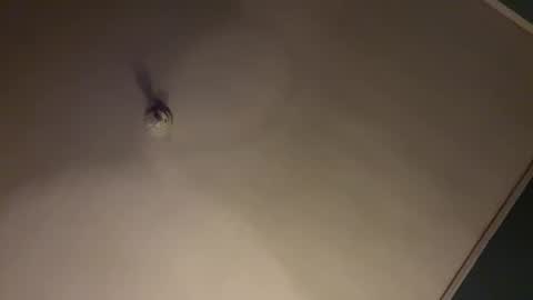 bbc_in_chitwn online show from 01-31-25, 07:50