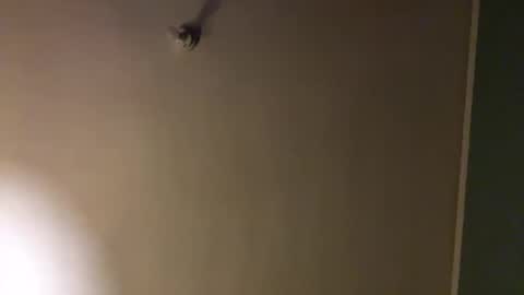 bbc_in_chitwn online show from 02-01-25, 10:44