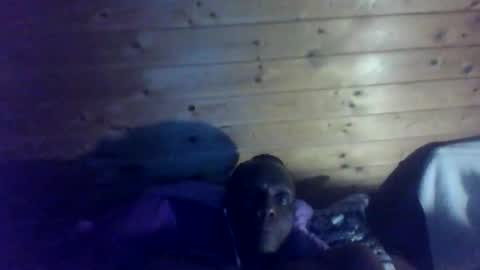 bbcmasterxl online show from 12-22-25, 01:02