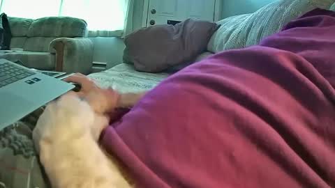 Snapshot of bcema2 chatting on 01-08-25, 09:44 bcema2 online show from 01-08-25, 09:44