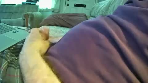 Snapshot of bcema2 chatting on 09-26-25, 05:28 bcema2 online show from 09-26-25, 05:28