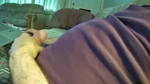 Snapshot of bcema2 chatting on 10-24-25, 03:30 bcema2 online show from 10-24-25, 03:30