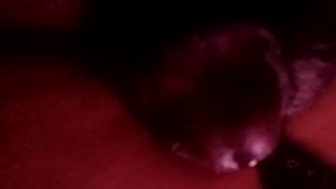 bcfalcon69 online show from 04-01-26, 03:18