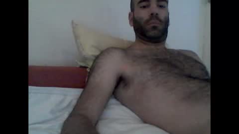 bear14250949 online show from 10-25-25, 09:06