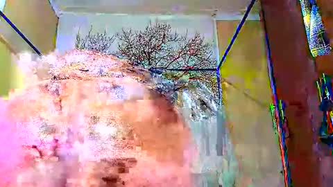 beencee2 online show from 01-12-25, 04:10