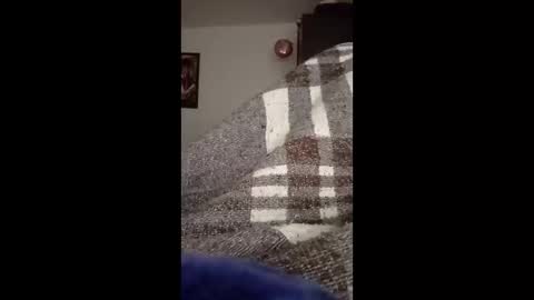 belcebu472402 online show from 11-02-25, 02:41