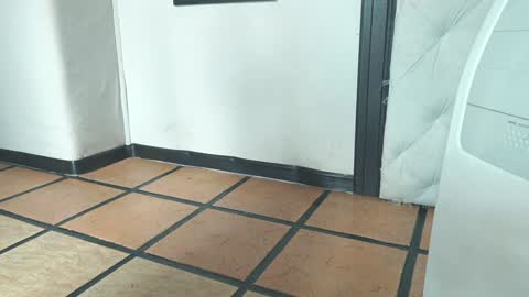    online show from 12-19-24, 01:51