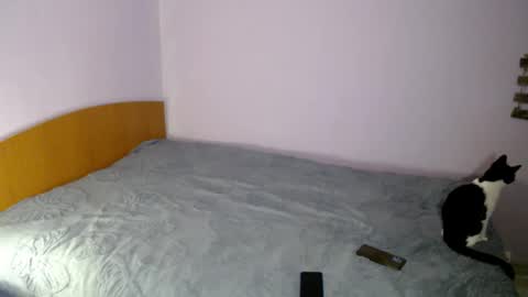 bellaqueen0701 online show from 03-06-25, 05:33