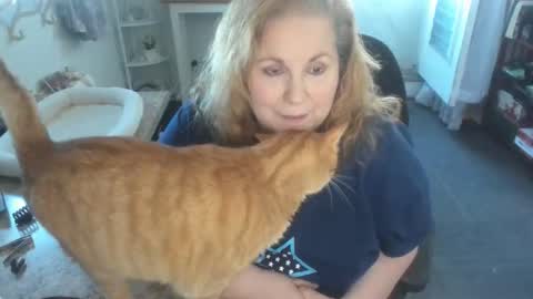 Bellavoca online show from 04-11-26, 06:01